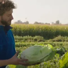 Bauer hält frischen Wirsing, ideal für ein Bamberger Wirsing Rezept.
