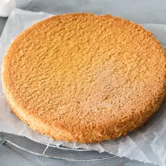Ein goldbrauner, luftiger Tortenboden liegt auf Backpapier. Perfekt für jedes Tortenboden Rezept.