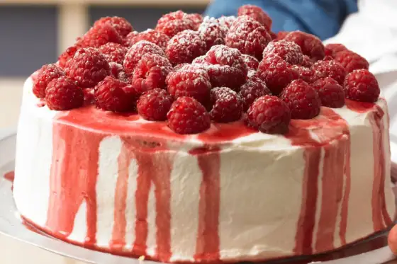 Himbeer-Joghurt-Torte - So gelingt sie schnittfest & perfekt!